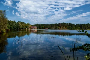 Plaża i wybrzeże — wakacje w Wigierski Park Narodowy Polesie Polska