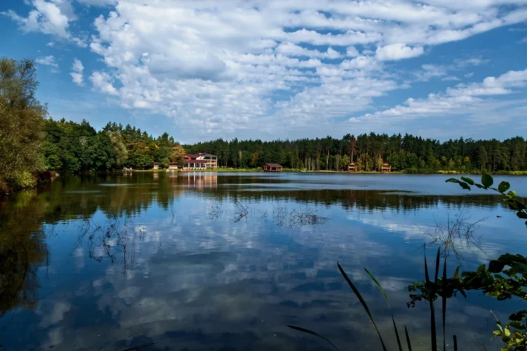 Plaża i wybrzeże — wakacje w Wigierski Park Narodowy Polesie Polska