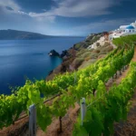 Plaża i wybrzeże — wakacje w Winiarnie Santorini Santorini Grecja