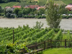 Plaża i wybrzeże — wakacje w Winnice na Łabie Saksonia Austria