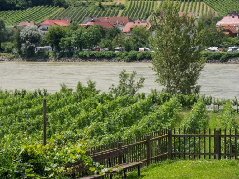 Plaża i wybrzeże — wakacje w Winnice na Łabie Saksonia Austria
