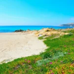 Plaża i wybrzeże — wakacje w Wybrzeże Jońskie Albania
