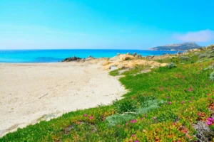 Plaża i wybrzeże — wakacje w Wybrzeże Jońskie Albania