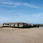 Plaża i wybrzeże — wakacje w Wyspa Faraona Taba Egipt