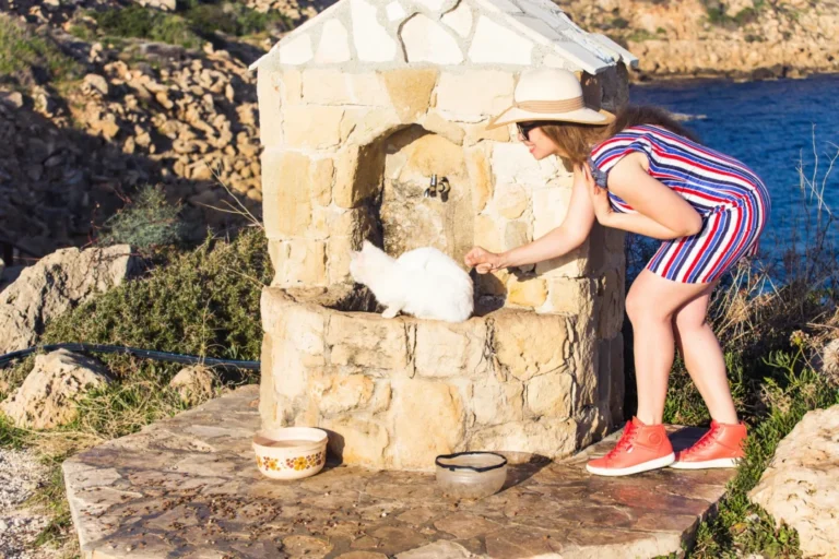 Plaża i wybrzeże — wakacje w Wyspa Lefkada Grecja Zachodnia Grecja