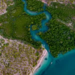 Plaża i wybrzeże — wakacje w Zalew Zemborzycki Wyżyna Lubelska Polska