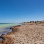 Plaża i wybrzeże — wakacje w Zarzis Tunezja
