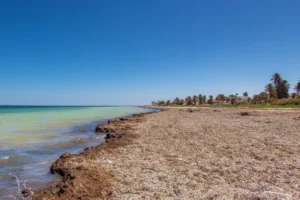 Plaża i wybrzeże — wakacje w Zarzis Tunezja