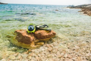 Plaża i wybrzeże — wakacje w Zatoka Abu Dabbab Marsa Alam Egipt