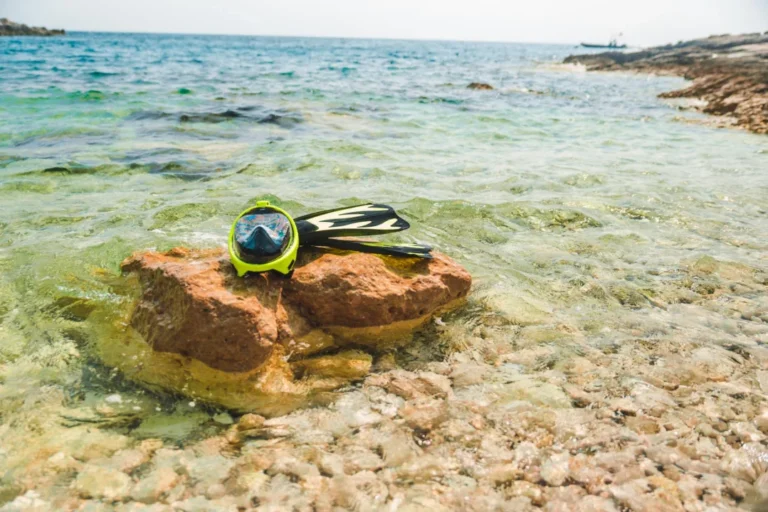 Plaża i wybrzeże — wakacje w Zatoka Abu Dabbab Marsa Alam Egipt