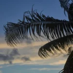 Plaża i wybrzeże — wakacje w Zatoka Fig Tree Larnaka Cypr