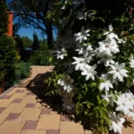 Plaża i wybrzeże — wakacje w Zielonogórski Ogród Botaniczny Ziemia Lubuska Polska