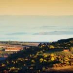 Plaża i wybrzeże — wakacje w Istria — trasa winna Istria Chorwacja