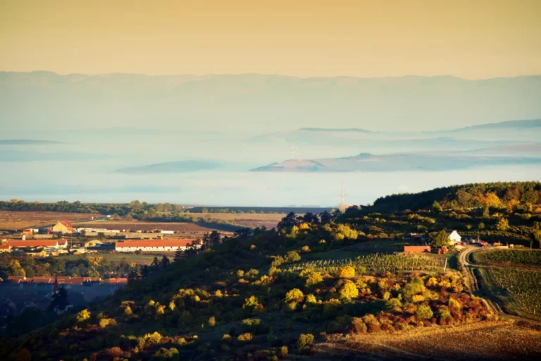 Plaża i wybrzeże — wakacje w Istria — trasa winna Istria Chorwacja