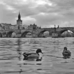 Plaża i wybrzeże — wakacje w Most Karola Karlove Vary Czechy