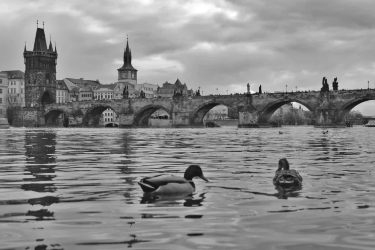 Plaża i wybrzeże — wakacje w Most Karola Praga Czechy