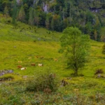 Plaża i wybrzeże — wakacje w Park Narodowy Risnjak Kvarner Chorwacja