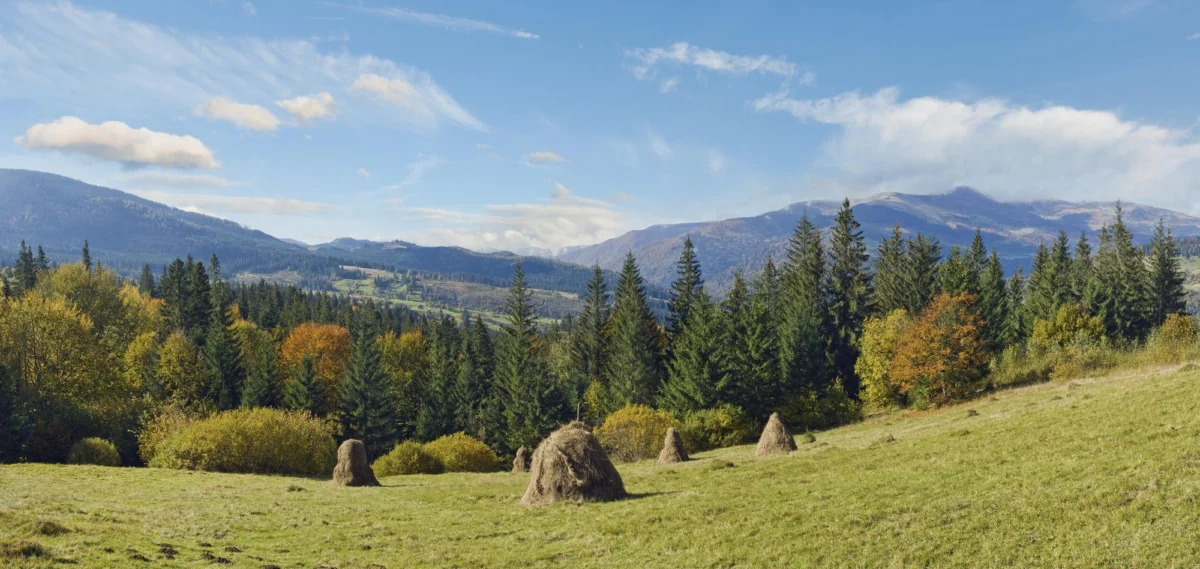 Park Narodowy Šumava — przewodnik dla turystów