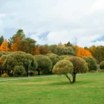 Plaża i wybrzeże — wakacje w Park Przyrody Sorteny Grandvalira Andora