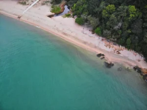 Plaża i wybrzeże — wakacje w Plaża Veli Žal Wyspa Losinj Chorwacja