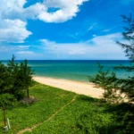 Plaża i wybrzeże — wakacje w Plaża Zelena Punta Wyspa Ugljan Chorwacja