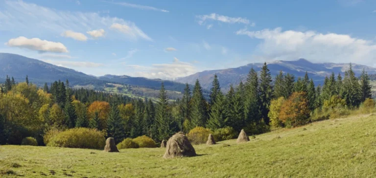 Plaża i wybrzeże — wakacje w Rezerwat Przyrody Šumava Czechy Południowe Czechy
