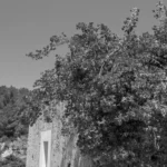 Plaża i wybrzeże — wakacje w Ruiny rzymskiej willi Wyspa Mljet Chorwacja