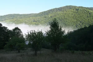Plaża i wybrzeże — wakacje w Wyspa Mljet Chorwacja