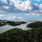 Plaża i wybrzeże — wakacje w Zatoka Mljet Wyspa Mljet Chorwacja